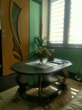 Magnificent apartment in Central Lviv